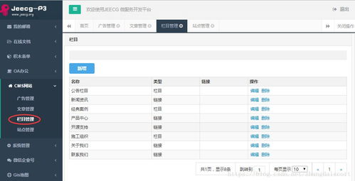 建站神器 cms網站插件 jeecg p3 biz cms 發布
